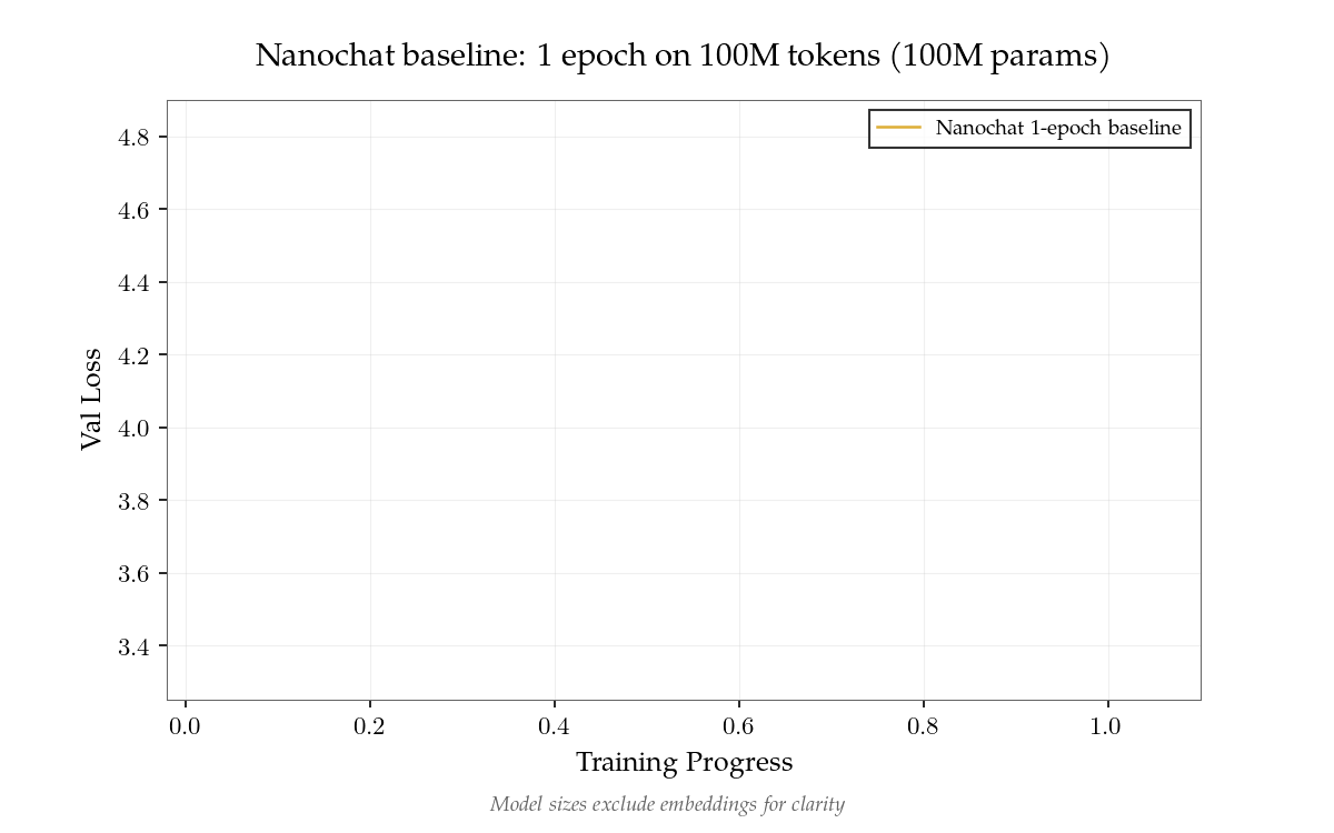 Slowrun baseline on 100M tokens